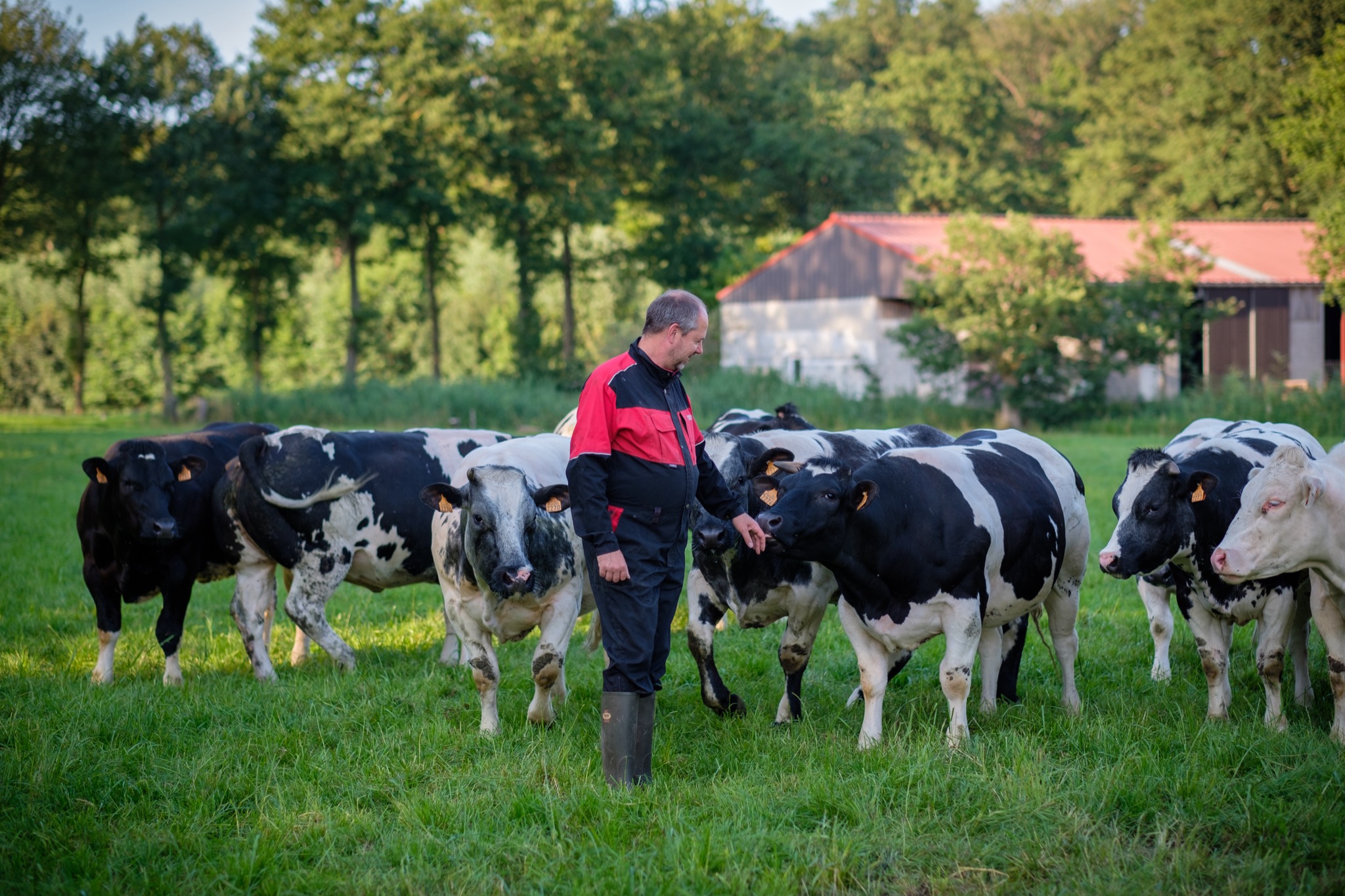 Landbouw